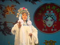 现场表演