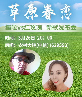 红玫瑰