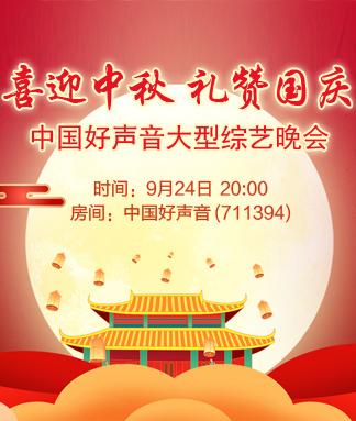中国好声音