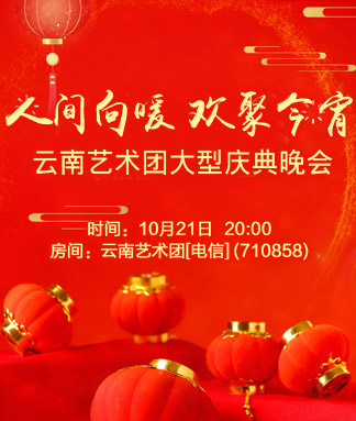 云南艺术团