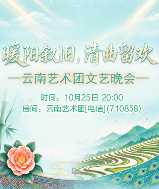 云南艺术团