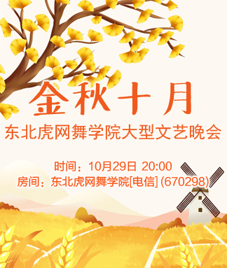 东北虎网舞学院