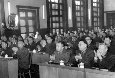 王树声