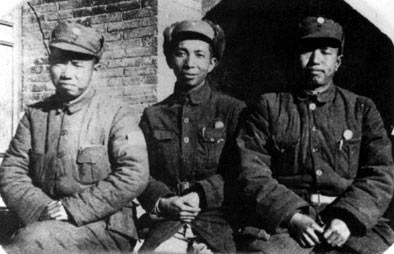 王树声