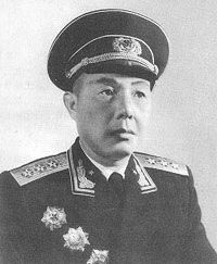 苏振华