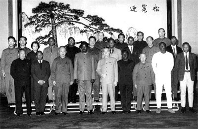 王树声
